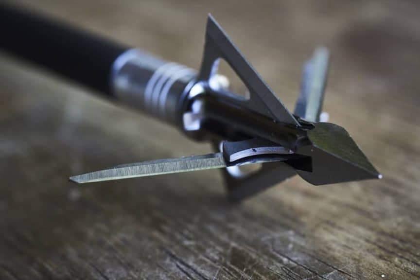 Can you use broadheads to shoot targets? Archers Hub