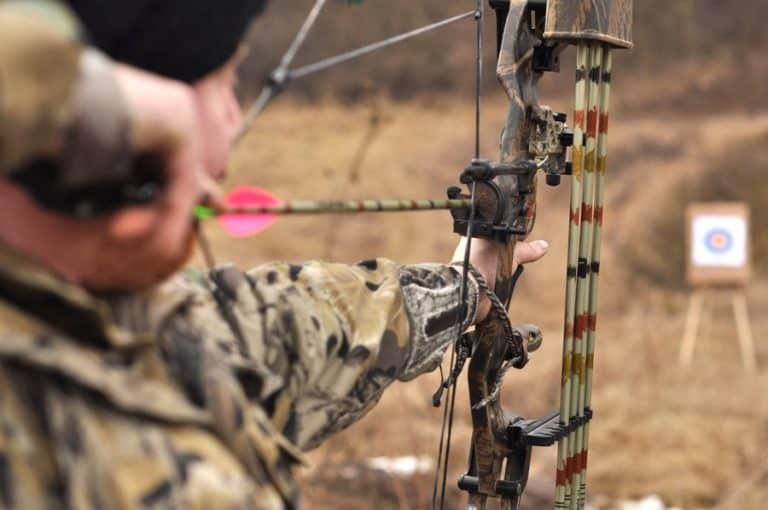 10 Actionable Tips to Improve Accuracy with a Compound Bow