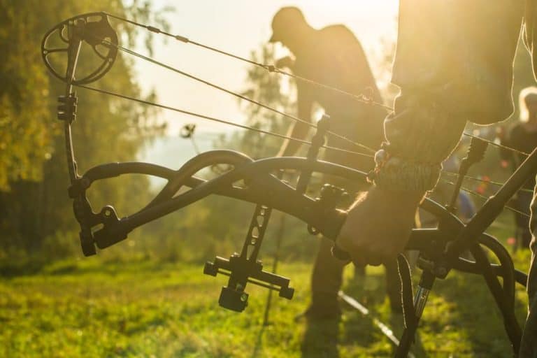 Ultimate Guide to Choosing Your First Compound Bow