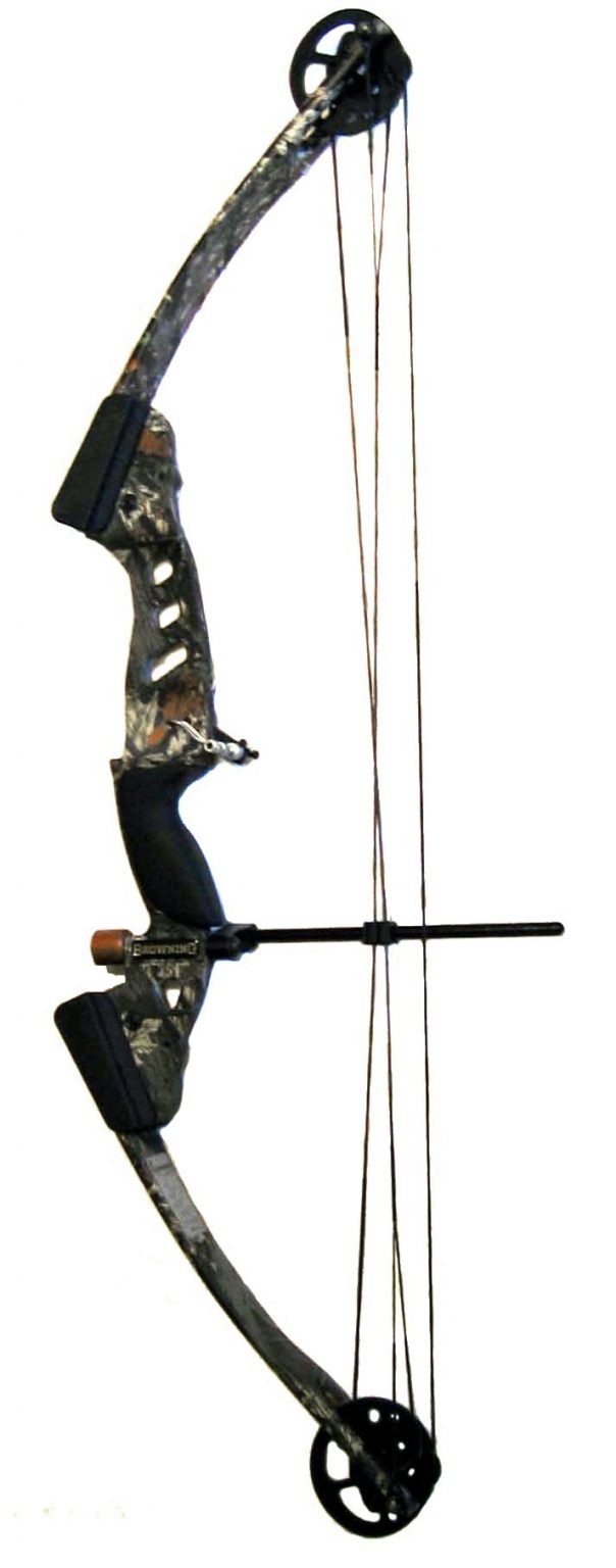 Compound Bow vs Longbow